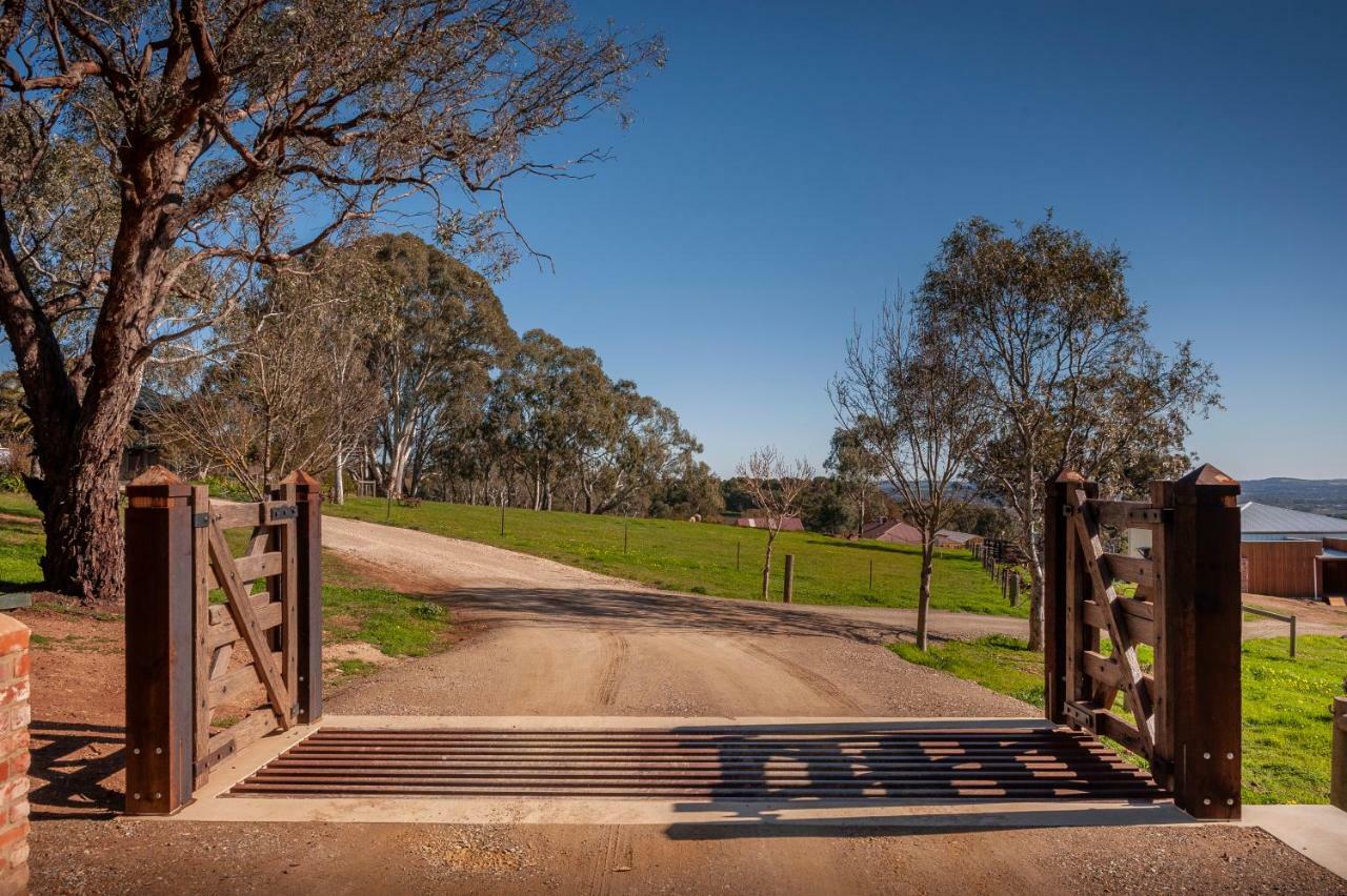 Angaston Saleyards Luxury Accommodation エクステリア 写真